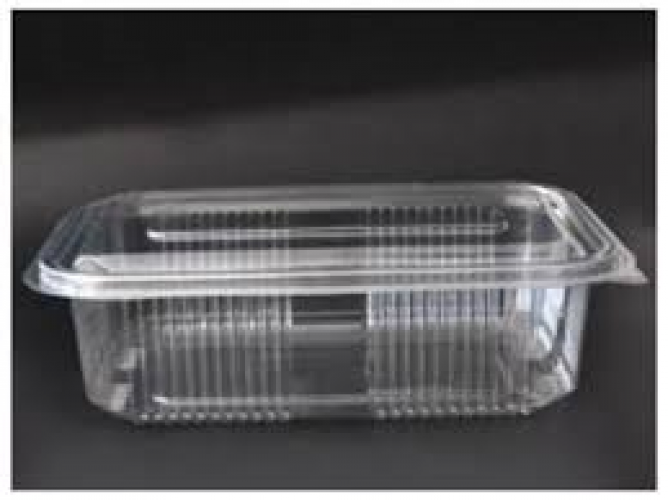 750 Gr Sızdırmaz Kap 100 lü